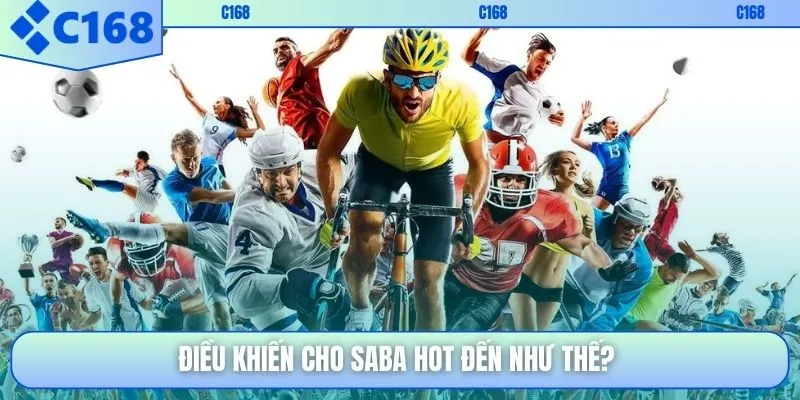 Điều khiến cho SABA hot đến như thế?